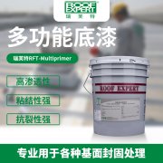 瑞芙特采光板翻新系統(tǒng)